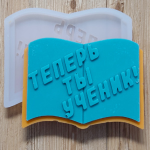 Молд Тетрадь ученик